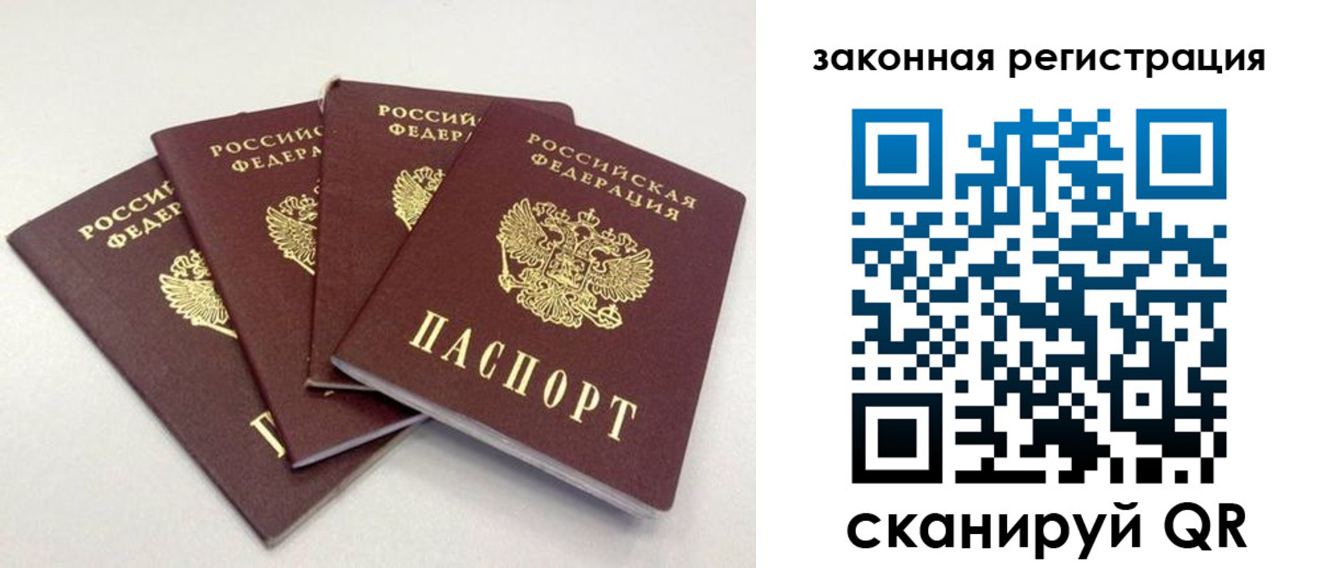 временная прописка в Светлогорске